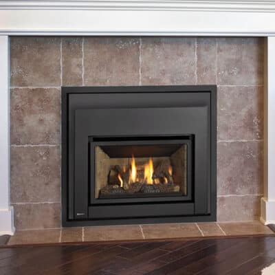 Regency E18E Gas Insert